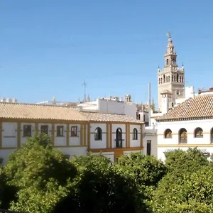 En La Plaza Dona Elvira, 7 Seville